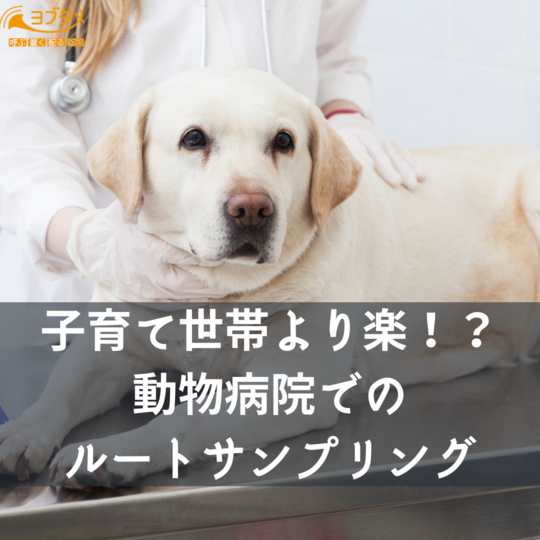Copy of 一般企業向けに ルートサンプリング するなら (2)